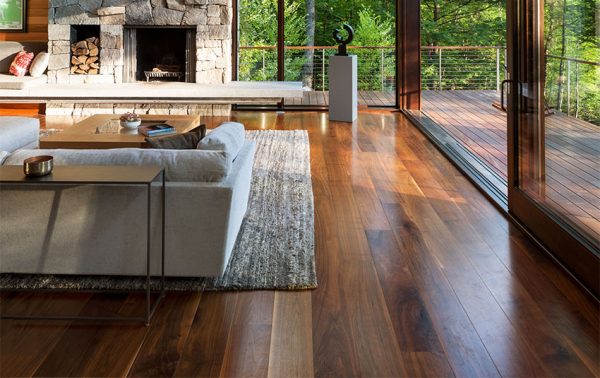 American Black Walnut